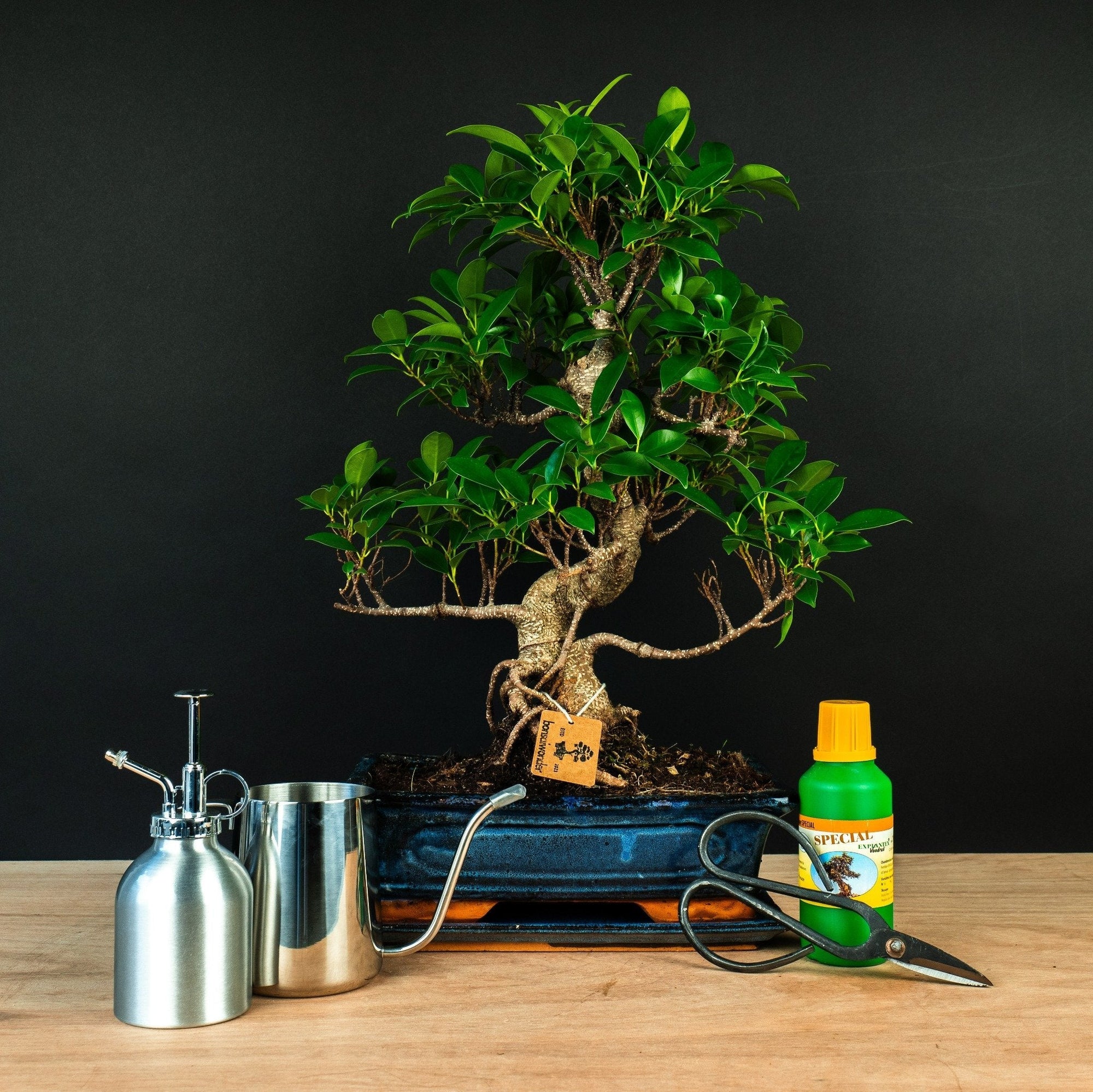 bonsai-starterset